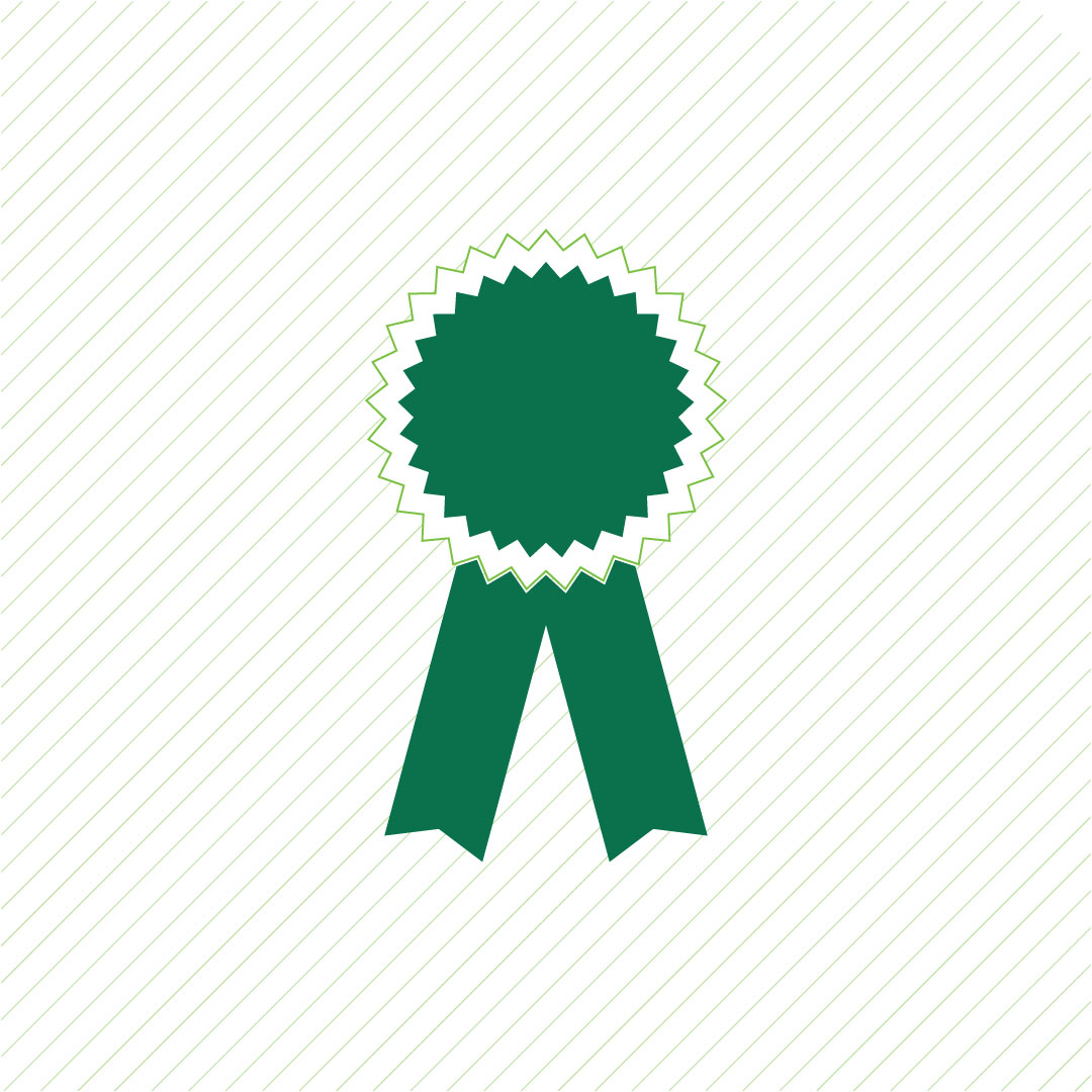 Bergstein Award for Teaching Excellence